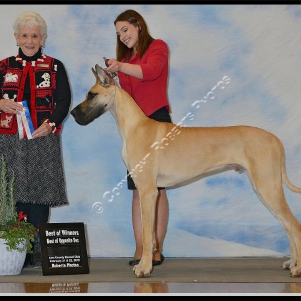 Meet your Posher, Sierra